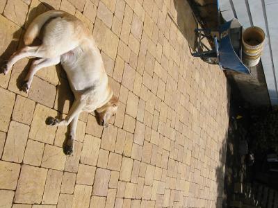 Sunbathing Lucie